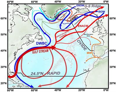 North Atlantic Western Boundary Currents Are Intense Dissolved Organic Carbon Streams